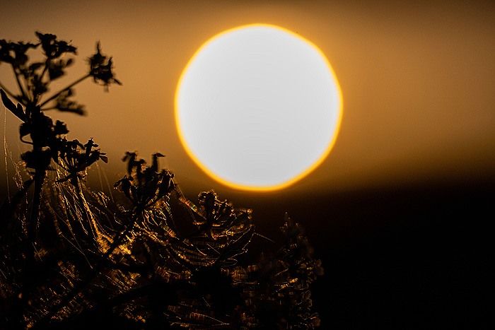 Фото: Pia Bayer/picture alliance via Getty Images