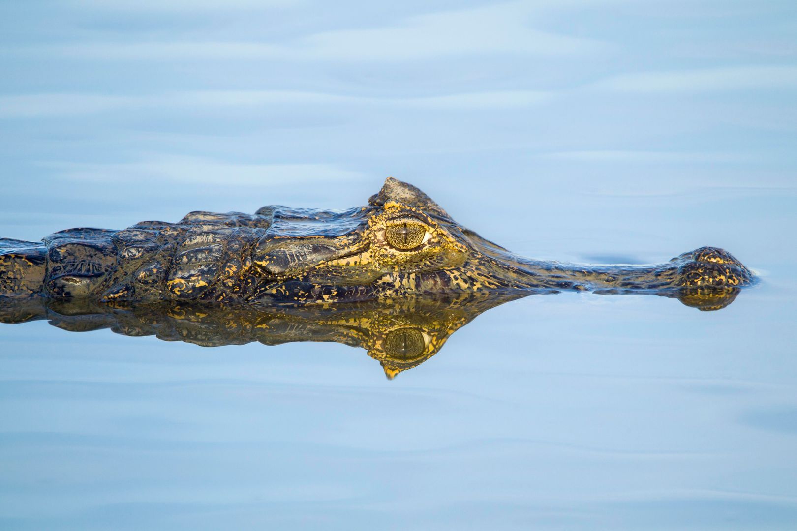 Фото: Christina Krutz/Global Look Press
