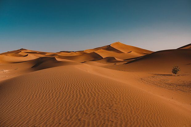 Фото: Freepik