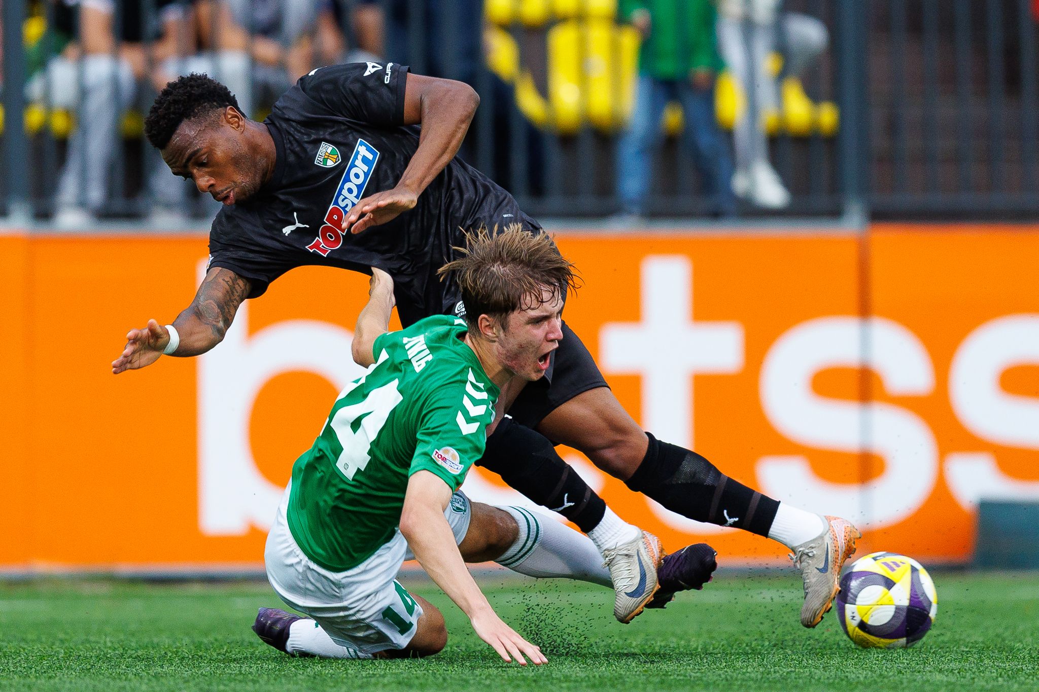 fkzalgiris.l