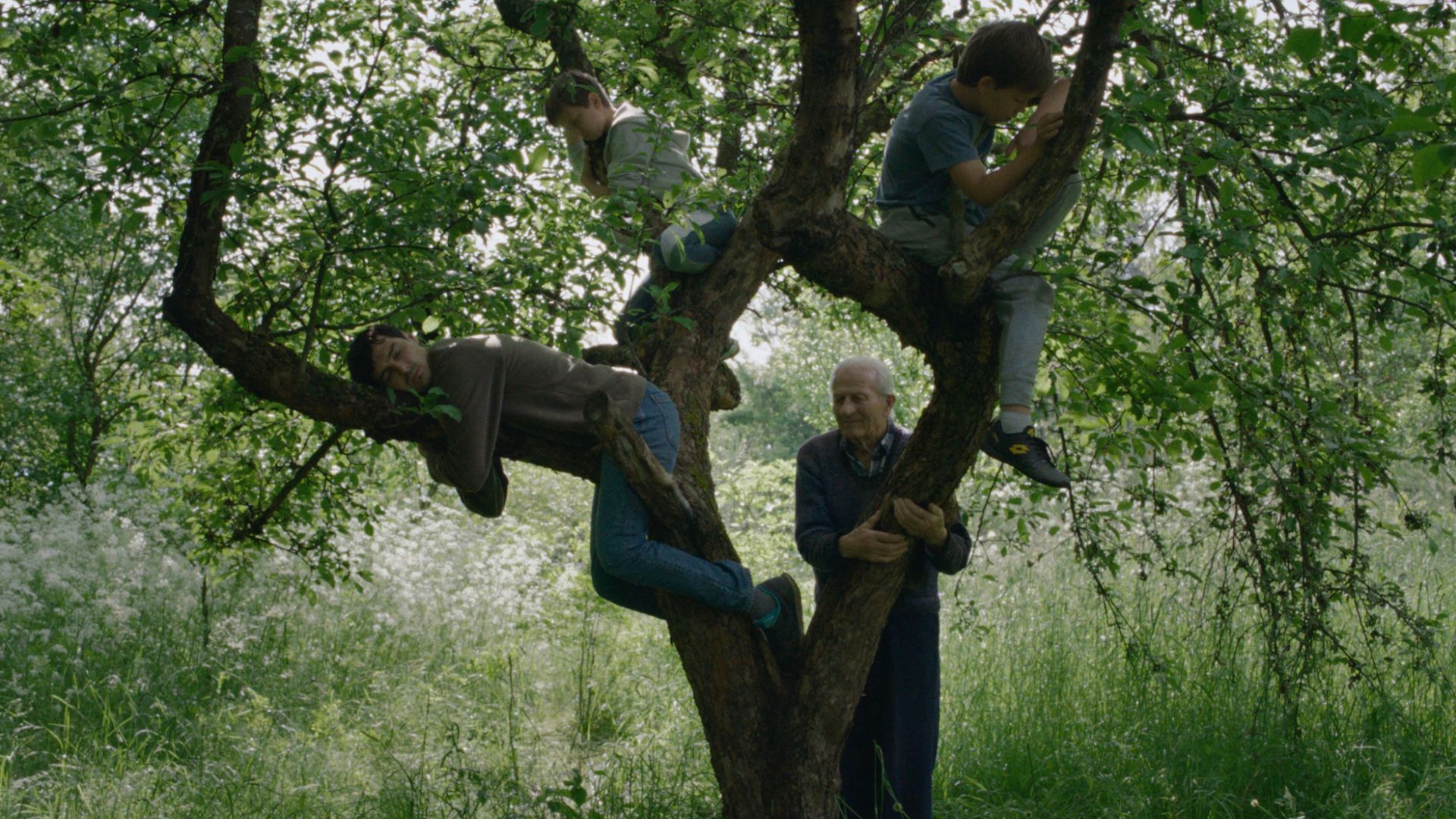 «Говори со мной, ветер»