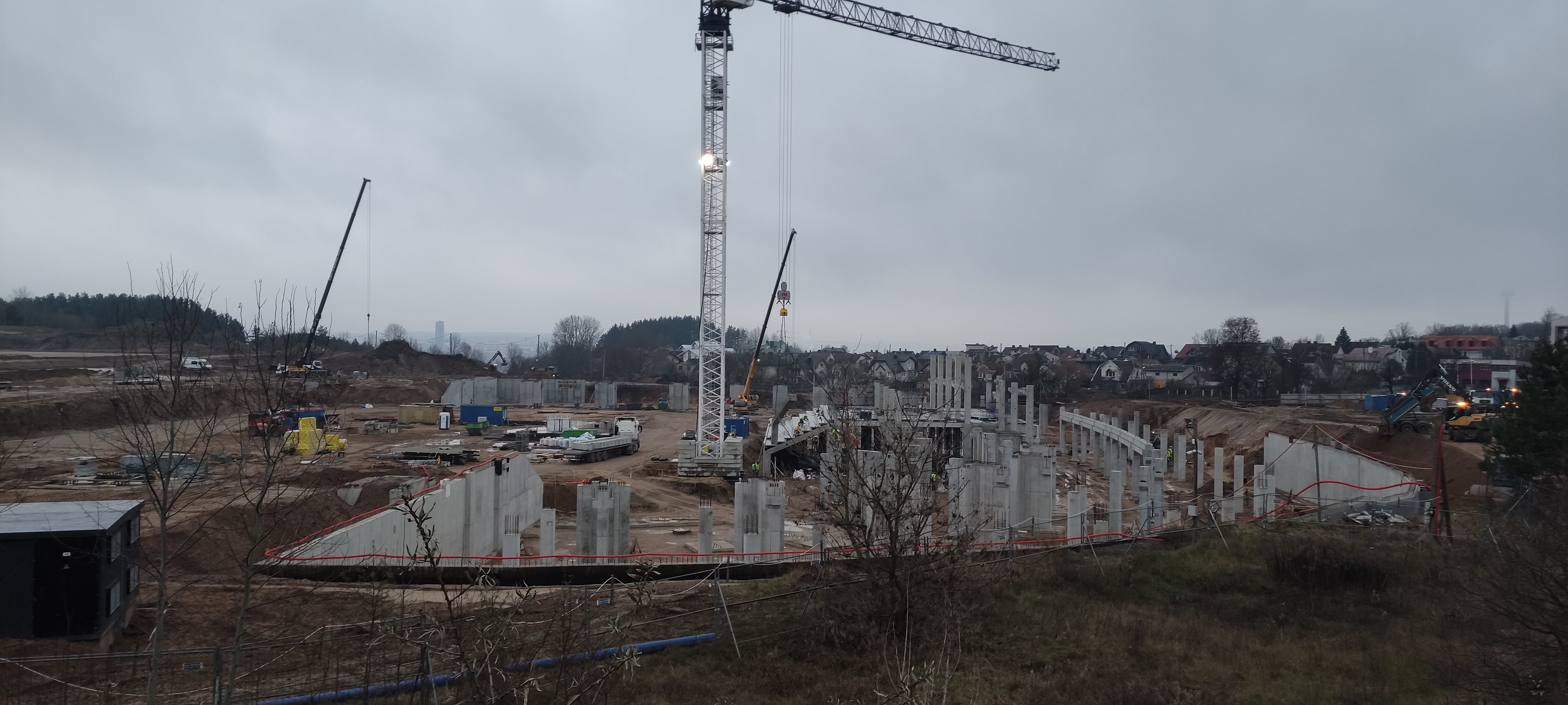 19 ноября 2025 года