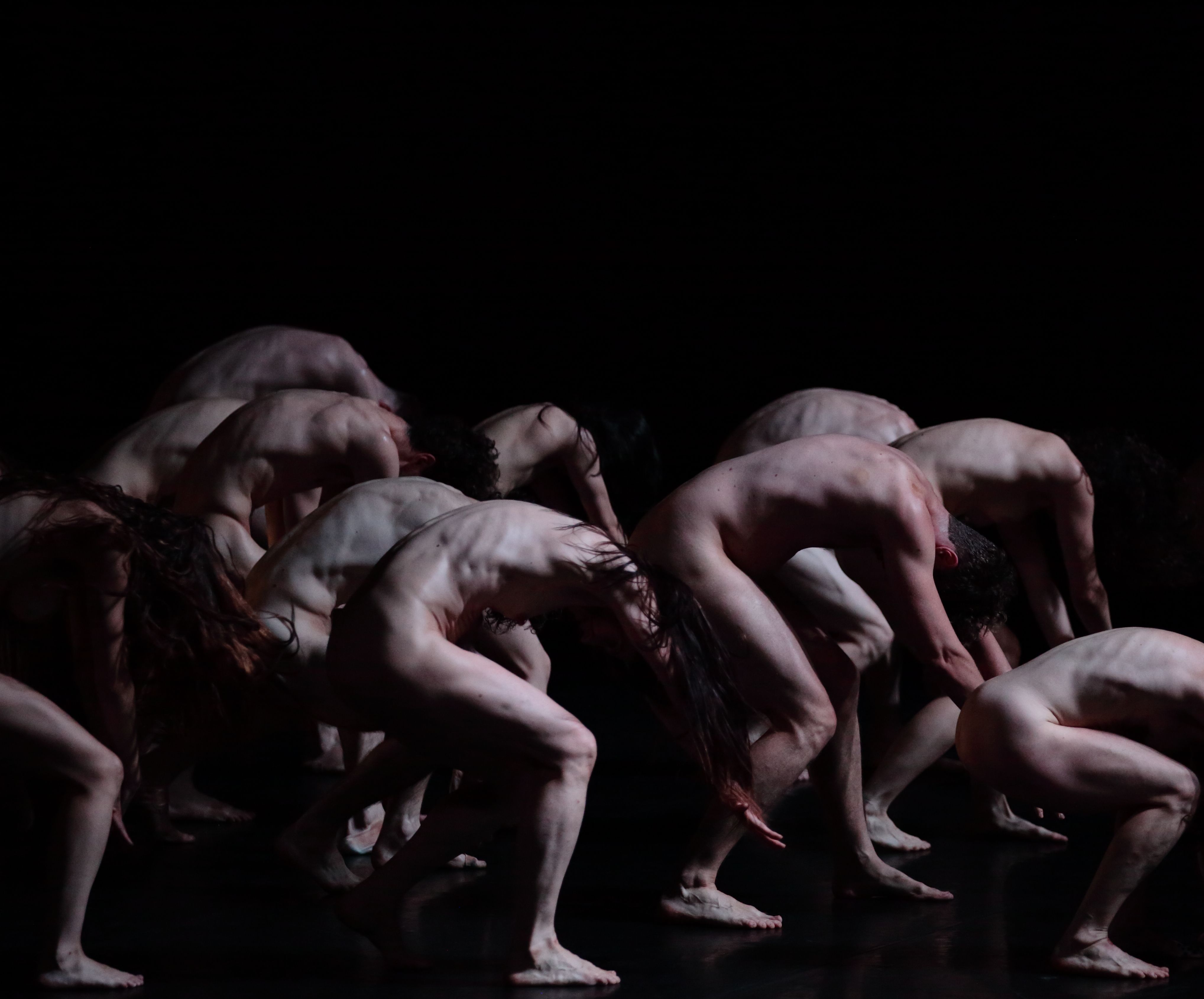 Фото: Francois Stemmer