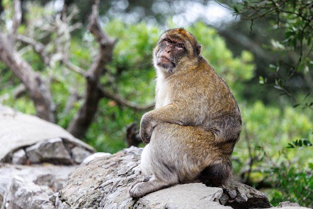 Фото: Matthias Balk / dpa / Globallookpress.com