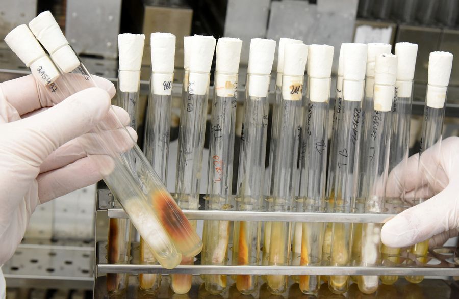 Фото: Waltraud Grubitzsch/dpa/picture-alliance/ТАСС