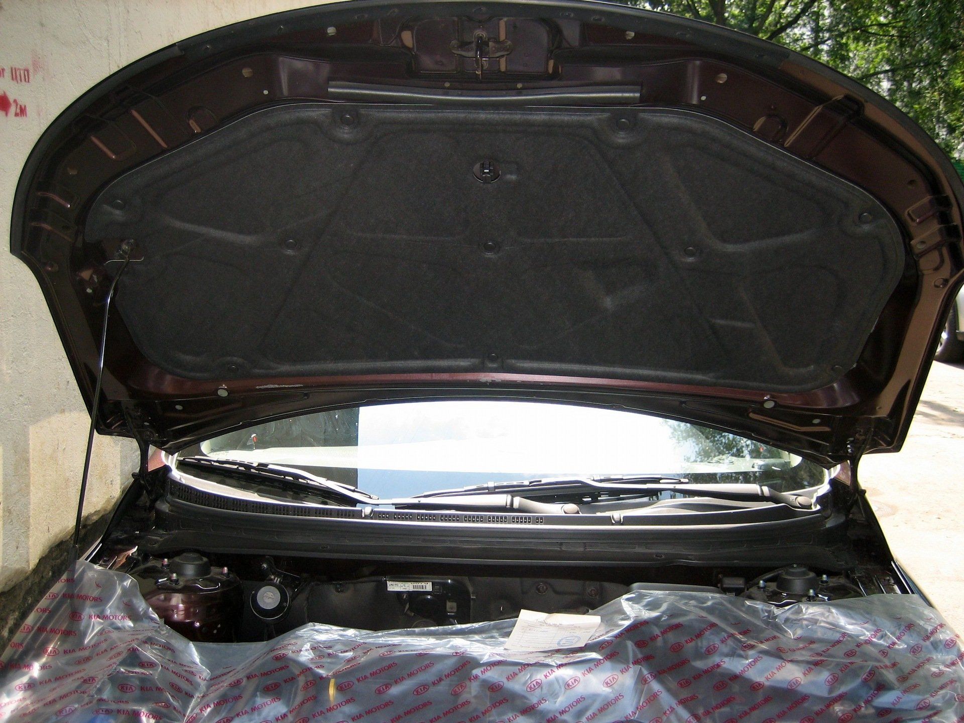 Ассоциативное фото