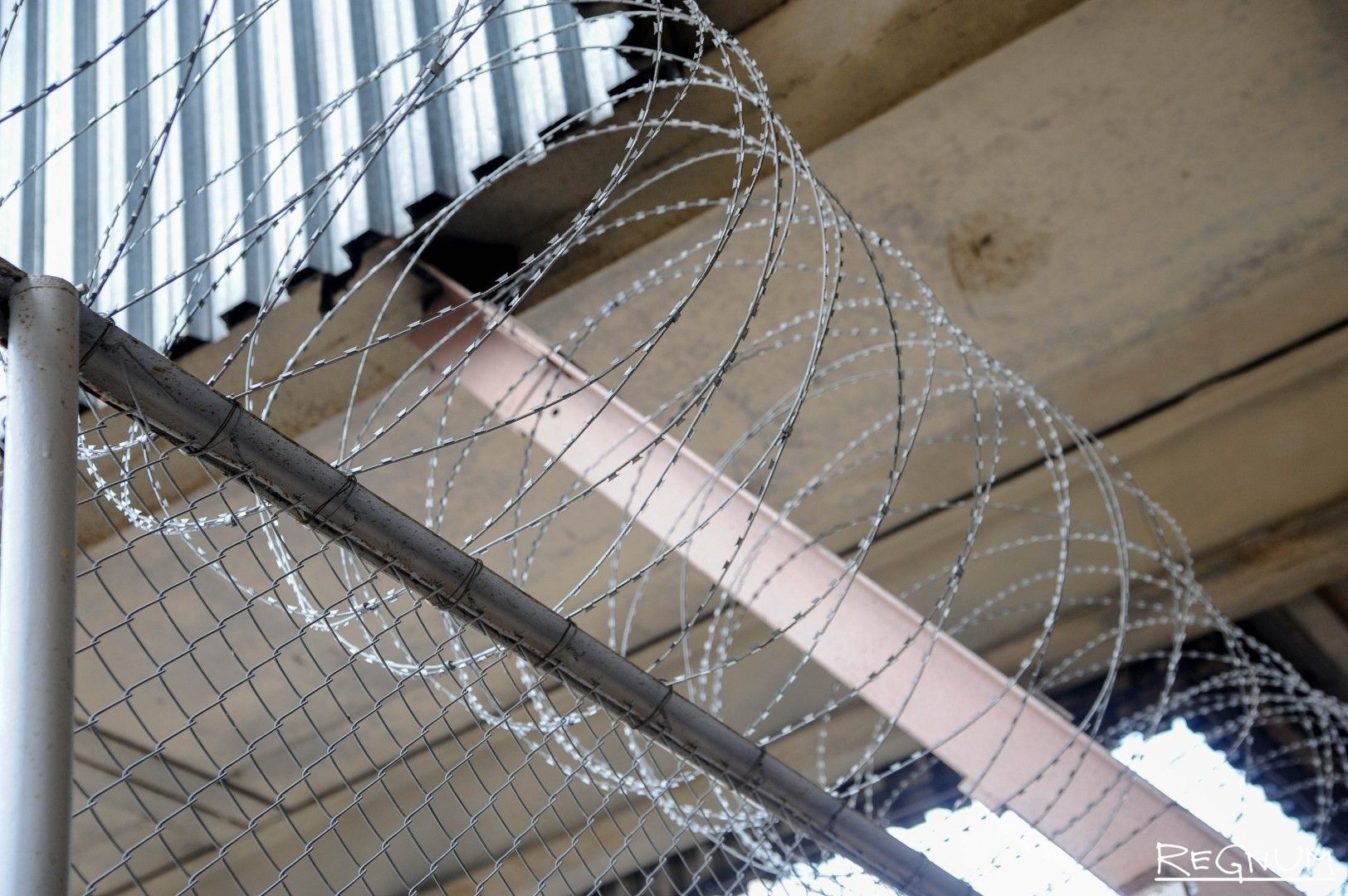 Фото: Дарья Антонова ИА REGNUM