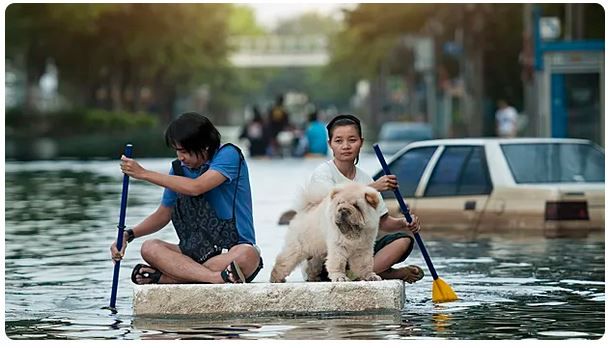 Фото: © gdagys/iStock.com