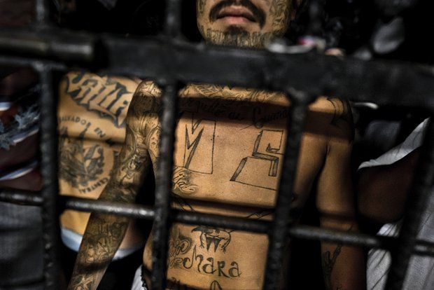 Фото: Jan Sochor / LatinContent via Getty Images