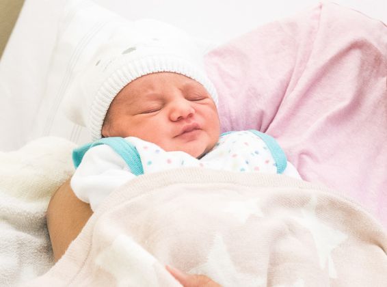 Фото: Daniel Bockwoldt/Global Look Press