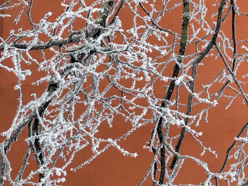 Фото Татьяны Соколовой, "Обзор"