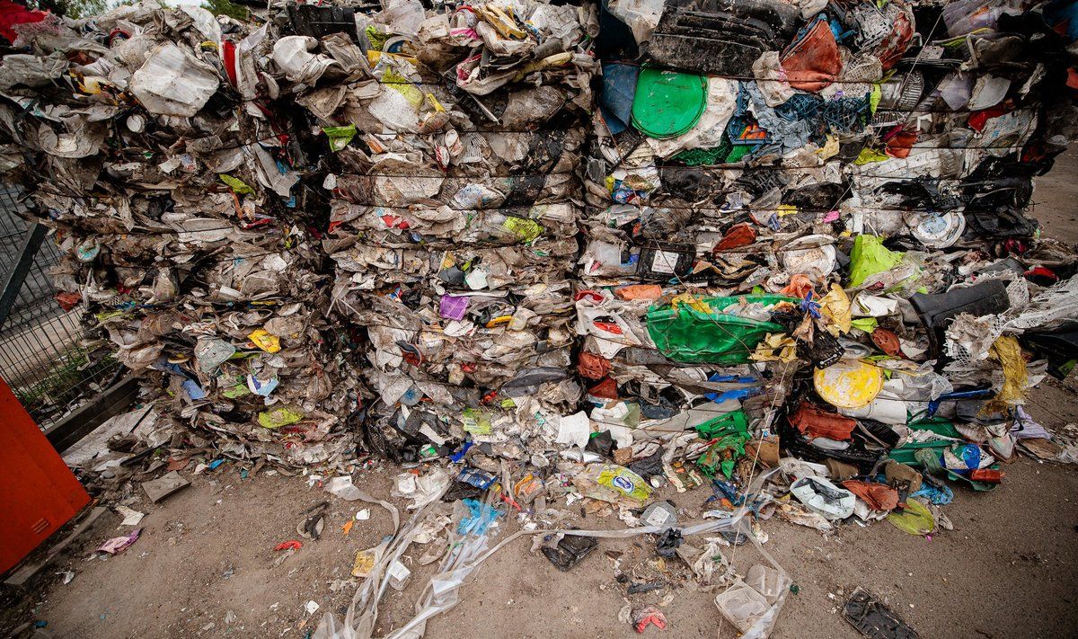 Ассоциативное фото ФОТО: Josvydas Elinskas | Elta