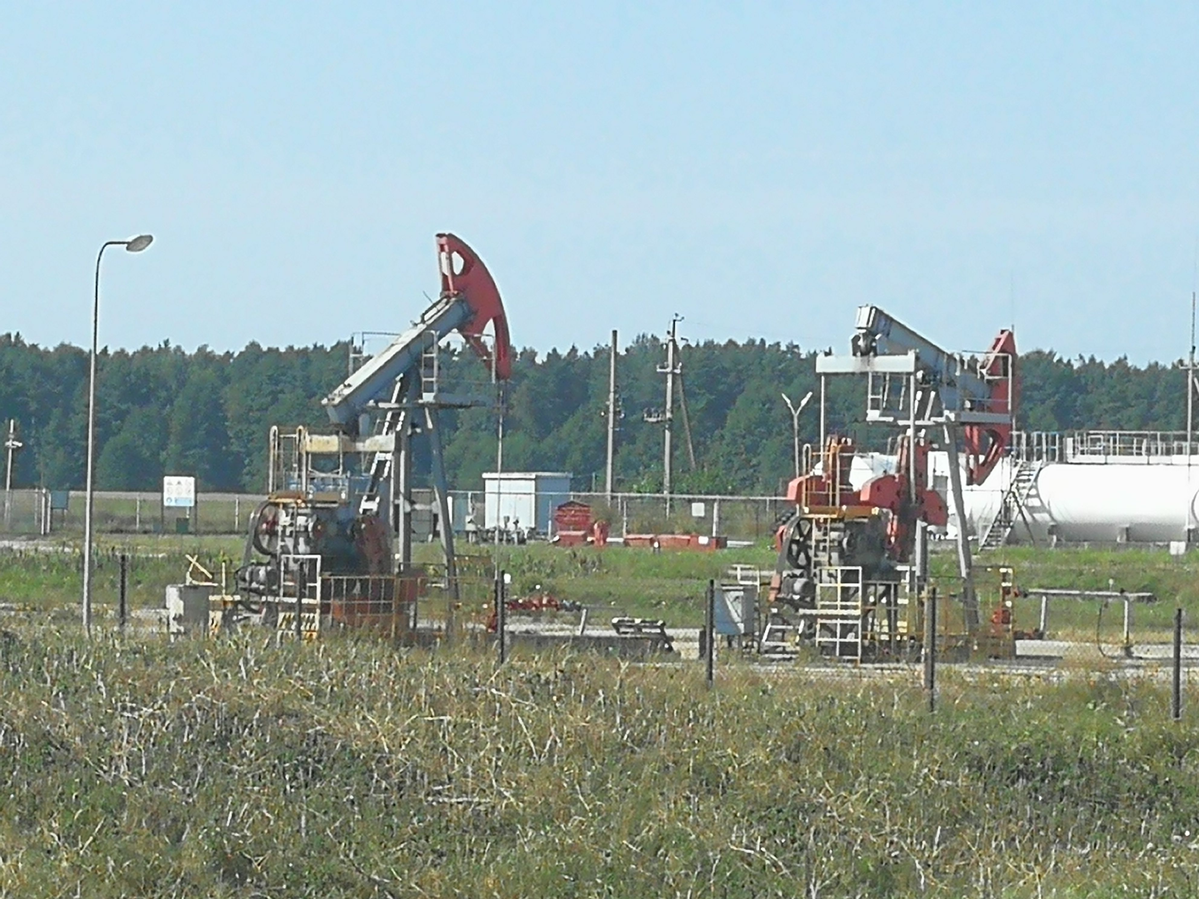 Фото: «Обзор»