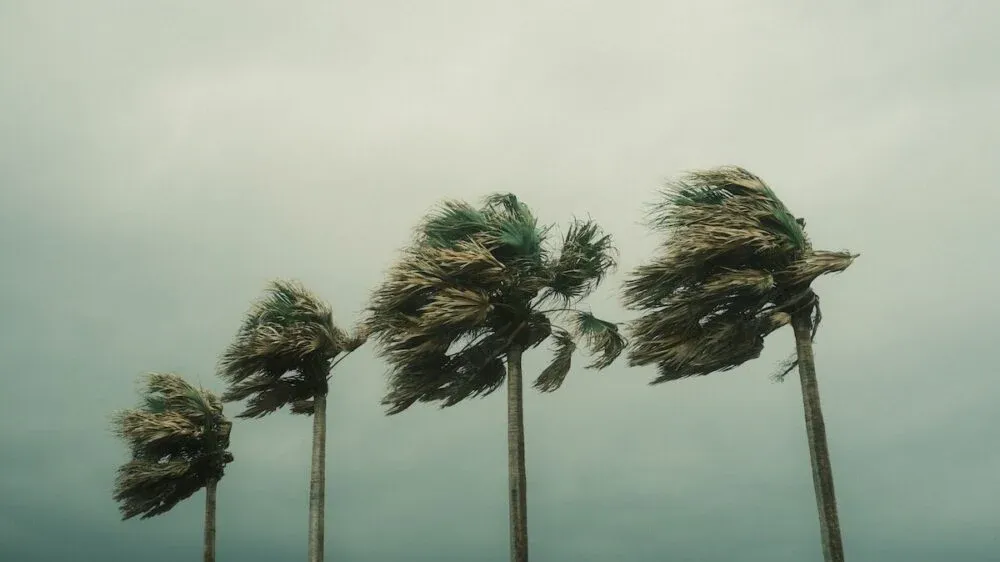 Guilherme Christmann / Pexels