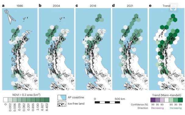 Фото: University of Exeter Графика, демонстрирующая стремительное озеленение Антарктиды за последние 35 лет