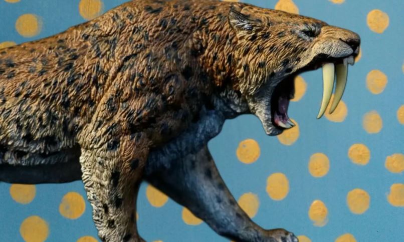 Этот вид называется Homotherium latidens, ранее останки его представителей находили в Северной Америке. Обложка © Unsplash