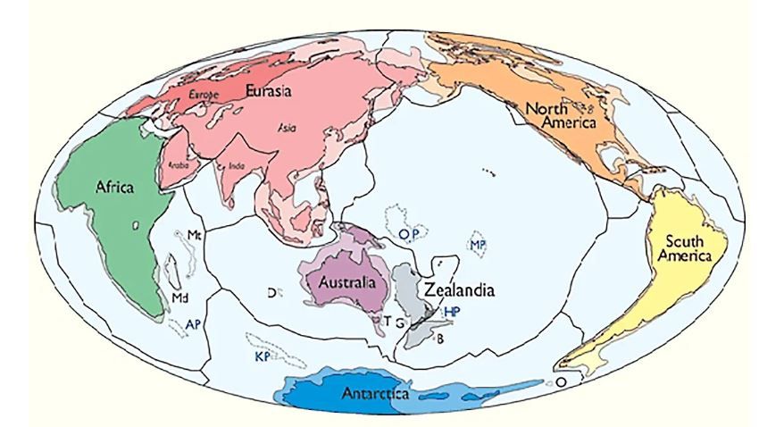 Предполагаемый скрытый континент Зеландия (выделен серым цветом). Фото © The Geological Society of America, Inc.