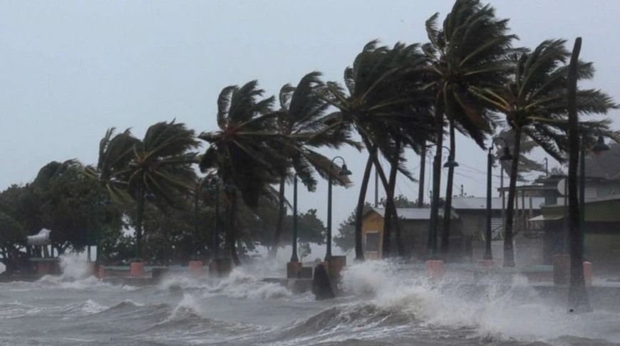 Фото соцсети Х