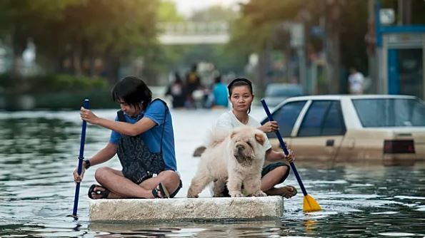 © gdagys/iStock.com