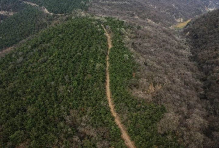 Репрезентативное изображение китайской дороги / © South China Morning Post