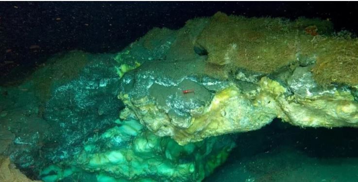 Породы имеют возраст примерно от 5 до 23 миллионов лет (Фото: UiT/Ocean Census/REV Ocean)