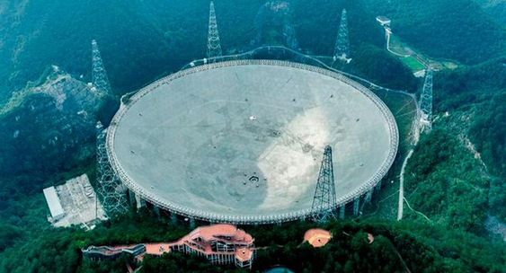 Фото: Dima Zel / Shutterstock / Fotodom