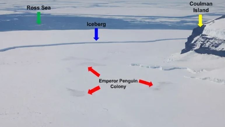 Обзор географической блокады. На изображении показан массивный айсберг, перекрывающий вход в пролив между морем Росса и островом КоулманаИсточник: KOPRI