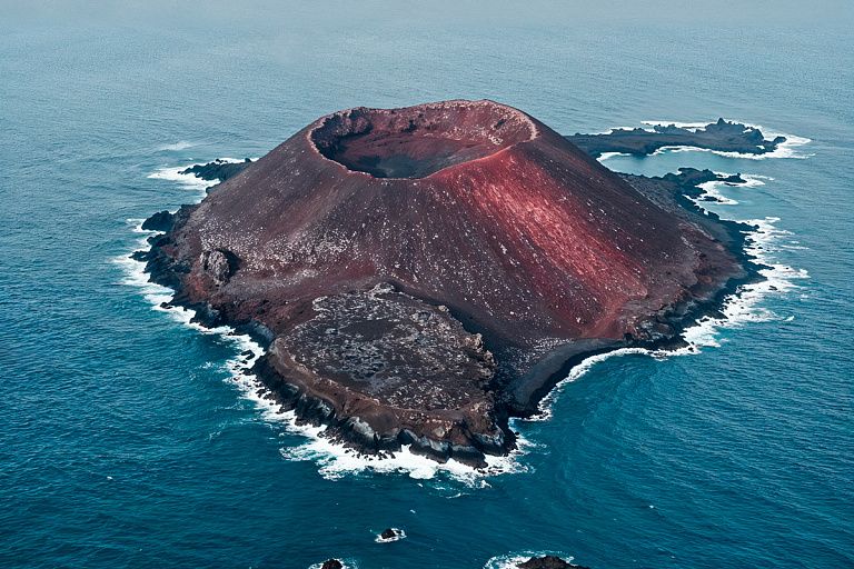 Фото: freepik / Freepik.com