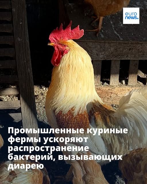 Авторское право AP Photo/Terry Chea