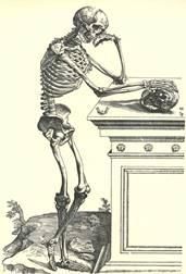 «Думающий скелет» из книги Везалия