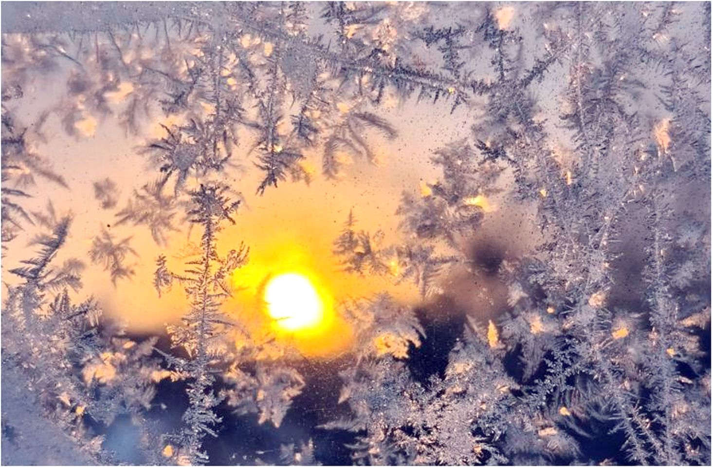 Фото Татьяны Сокловой, "Обзор"