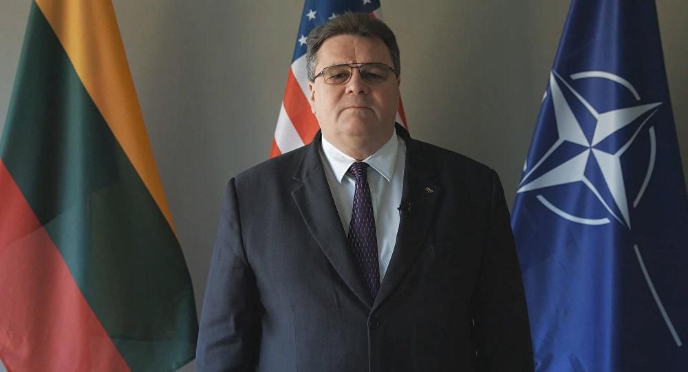 Линас Линкявичюс, министр иностранных дел Литвы фото:ru.sputniknews.lt