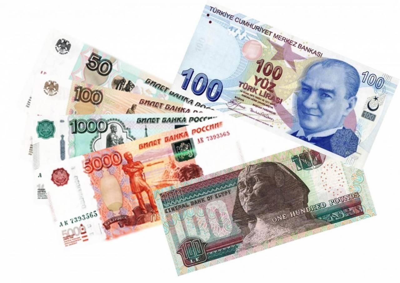 Российские рубли и турецкие лиры
