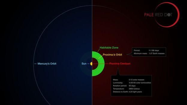 M. KORNMESSER/G. COLEMAN/AFP/GETTY IMAGES Image caption Орбита планеты Проксима b лежит в зоне обитаемости у звезды Проксима Центавра.