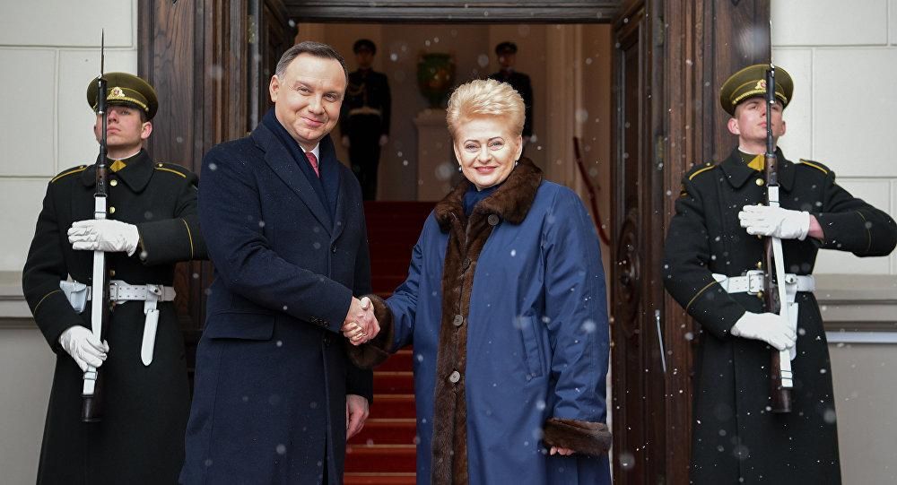 © Photo: Пресс-служба президентского дворца Литвы / Robertas Dačkus