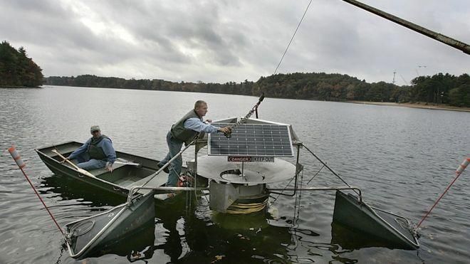 BOSTON GLOBE Image caption Ещё 12 лет назад в массачутетском озере Кочитуате установили SolarBee - работающие на солнечной энергии турбины-циркуляторы воды