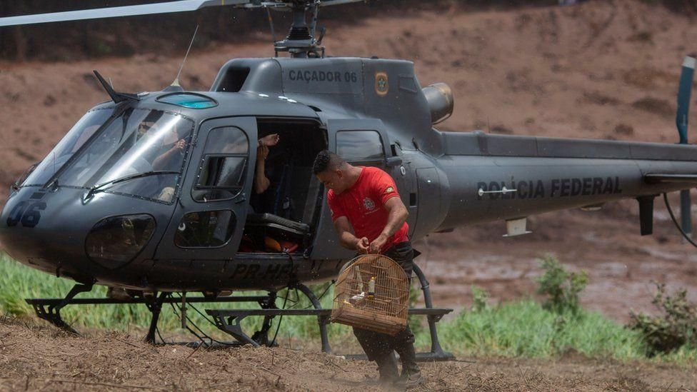 AFP Image caption Спасательные службы в ходе операции используют вертолеты