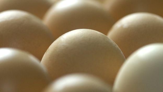 NORRIE RUSSELL, THE ROSLIN INSTITUTE Image caption Целебные яйца выглядят в точности как обычные