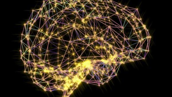 Нейрологи Кембриджа: человеческий мозг формируется в течение трех десятков лет. ALFRED PASIEKA/SCIENCE PHOTO LIBRARY