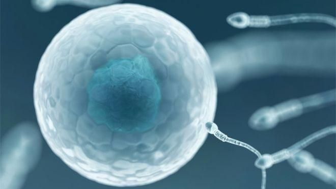 SCIENCE PHOTO LIBRARY Image caption Банк спермы Sperm Positive принимает сперму у ВИЧ-инфицированных доноров