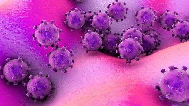 GETTY IMAGES Image caption До нынешнего момента было известно шести коронавирусах, способных инфицировать человека