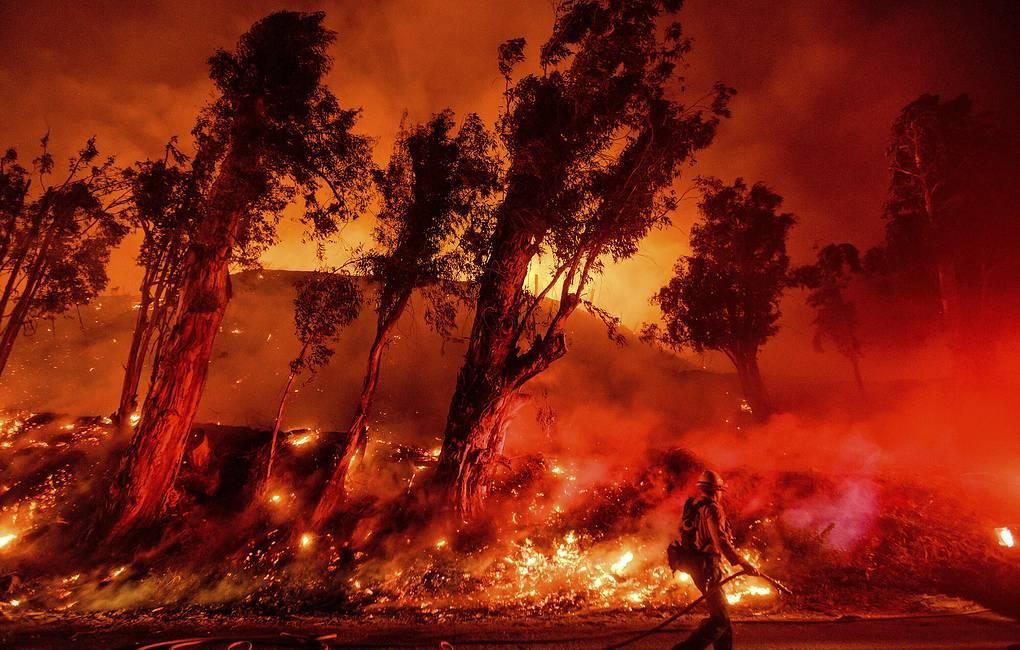 Калифорния, ноябрь, 2019 год © AP Photo/Noah Berger