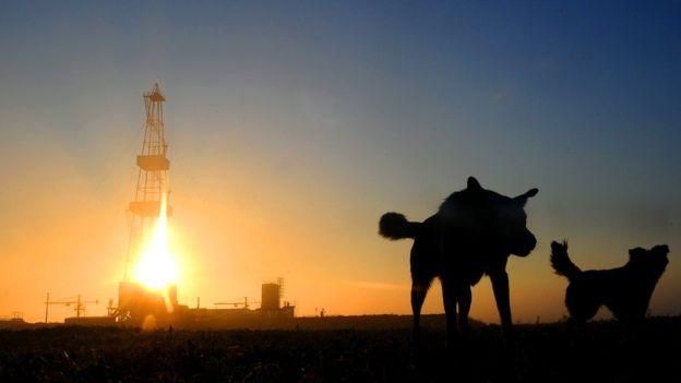 VIKTOR DRACHEV/TASS Image caption В год НПЗ Беларуси используются порядка 18 млн тонн нефти