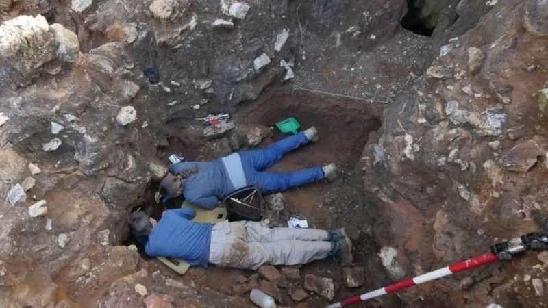 LA TROBE UNIVERSITY Подпись к фото, Австралийские ученые откопали череп два года назад недалеко от Йоханнесбурга