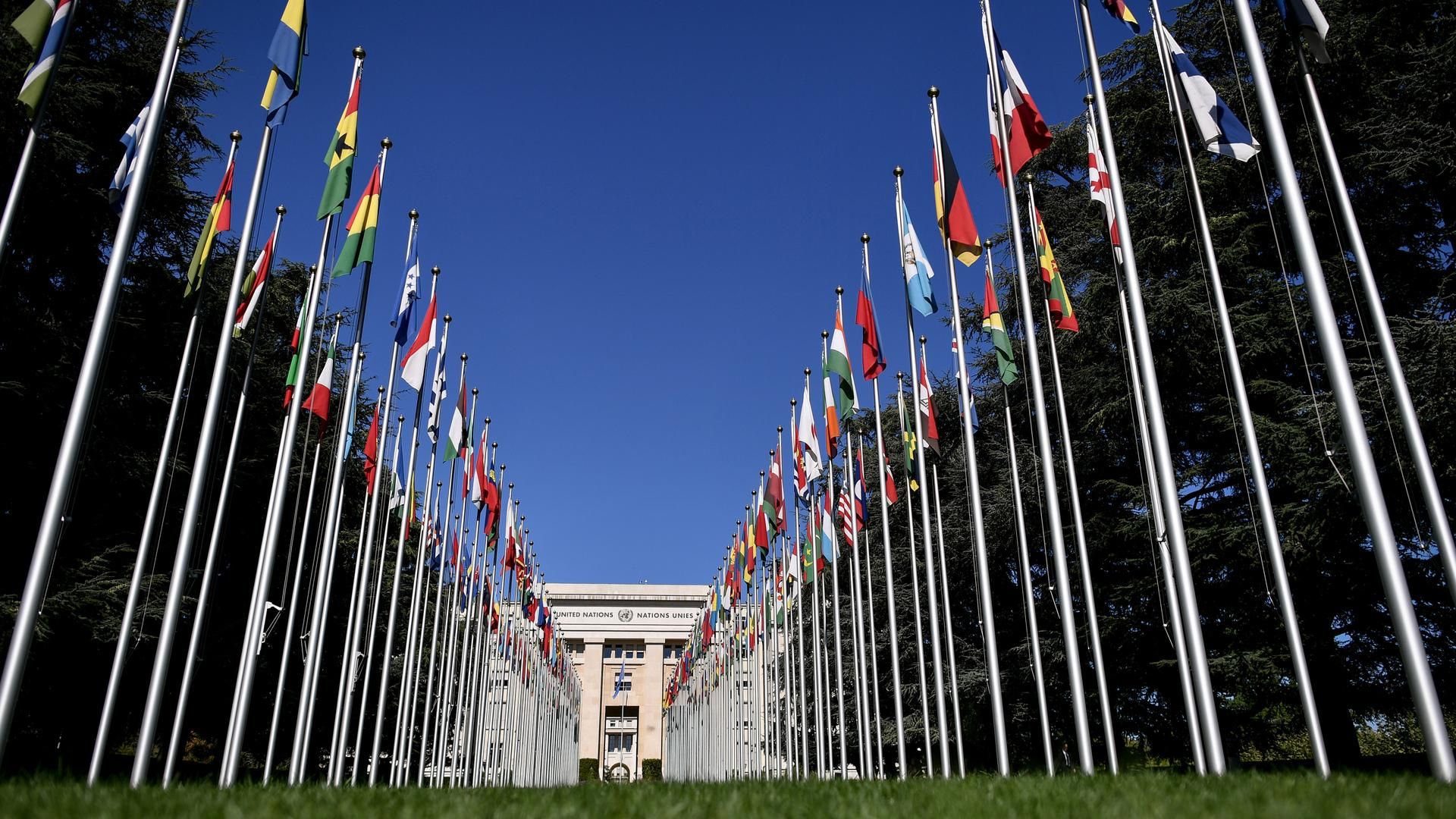 Здание ООН в Женеве © Fabrice COFFRINI / AFP