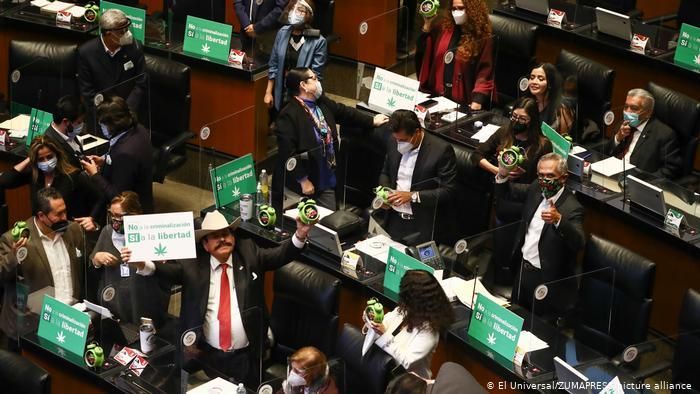 Сенаторы в Мексике на голосовании по легализации каннабиса
