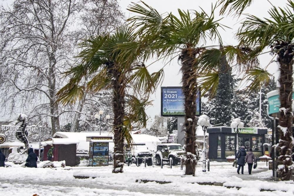 В этом году снегом неожиданно засыпало Крым, а в прошлом - завалило Турцию. Фото: РИА Новости