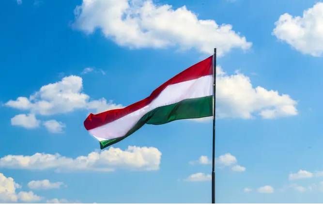 Флаг Венгрии. Иллюстративная фотография.Флаг Венгрии. Иллюстративная фотография. Автор: lmaresz / Pixabay