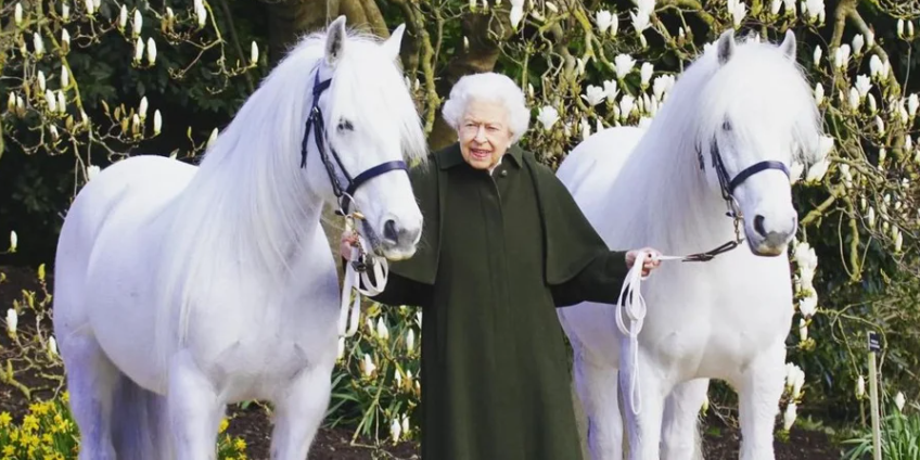 Королева Єлизавета з улюбленими поні Bybeck Katie та Bybeck Nightingale (Фото:@royalfamily/Instagram)