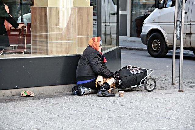 Бездомная. Фото: Wolfgang van de Rydt /Pixabay
